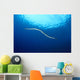 Indonesia, Colubrine Sea Snake In Open Ocean, Surface Visible A90D Wall Mural