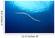 Indonesia, Colubrine Sea Snake In Open Ocean, Surface Visible A90D Wall Mural