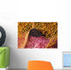 Indonesia, Seahorse Against Yellow And Pink Crinoids A90F Wall Mural