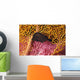 Indonesia, Seahorse Against Yellow And Pink Crinoids A90F Wall Mural