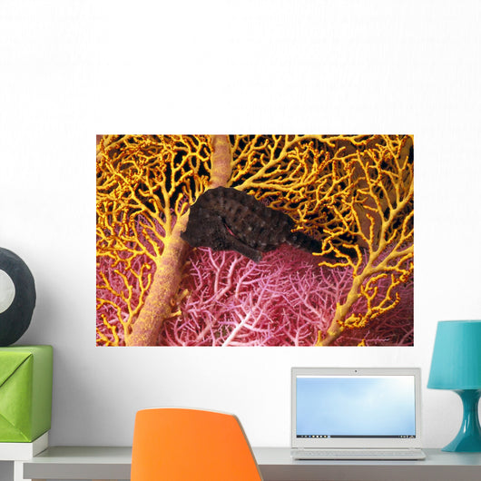 Indonesia, Seahorse Against Yellow And Pink Crinoids A90F Wall Mural