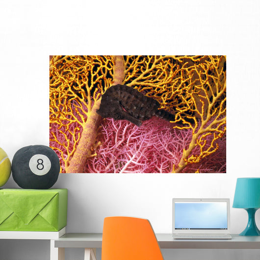 Indonesia, Seahorse Against Yellow And Pink Crinoids A90F Wall Mural