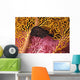 Indonesia, Seahorse Against Yellow And Pink Crinoids A90F Wall Mural