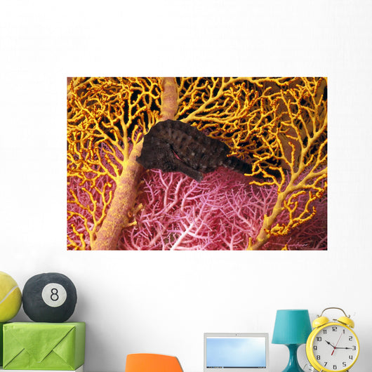 Indonesia, Seahorse Against Yellow And Pink Crinoids A90F Wall Mural