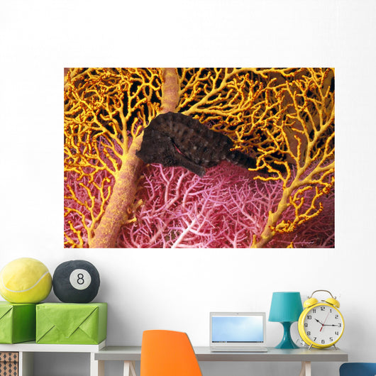Indonesia, Seahorse Against Yellow And Pink Crinoids A90F Wall Mural