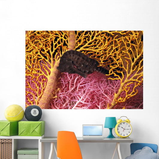 Indonesia, Seahorse Against Yellow And Pink Crinoids A90F Wall Mural