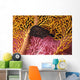 Indonesia, Seahorse Against Yellow And Pink Crinoids A90F Wall Mural