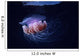 Papua New Guinea, Purple Jellyfish Midwater Surface Visible A88D Wall Mural