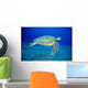 Hawaii, Green Sea Turtle Swims Midwater Clear Water, Sandy A77D Wall Mural