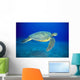 Hawaii, Green Sea Turtle Swims Midwater Clear Water, Sandy A77D Wall Mural