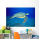 Hawaii, Green Sea Turtle Swims Midwater Clear Water, Sandy A77D Wall Mural