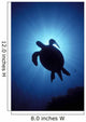 Hawaii, Green Sea Turtle Silhouetted, Sunburst View From Below A77C Wall Mural