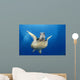 Hawaii, Maui, Front View Of Green Sea Turtle Midwater A77A Wall Mural