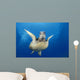 Hawaii, Maui, Front View Of Green Sea Turtle Midwater A77A Wall Mural