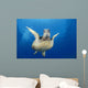 Hawaii, Maui, Front View Of Green Sea Turtle Midwater A77A Wall Mural