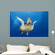 Hawaii, Maui, Front View Of Green Sea Turtle Midwater A77A Wall Mural
