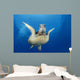 Hawaii, Maui, Front View Of Green Sea Turtle Midwater A77A Wall Mural