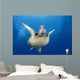 Hawaii, Maui, Front View Of Green Sea Turtle Midwater A77A Wall Mural