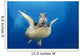 Hawaii, Maui, Front View Of Green Sea Turtle Midwater A77A Wall Mural