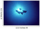 Hawaii, Spotted Eagle Leopard Rays, Silhouetted Near Surface A86G Wall Mural