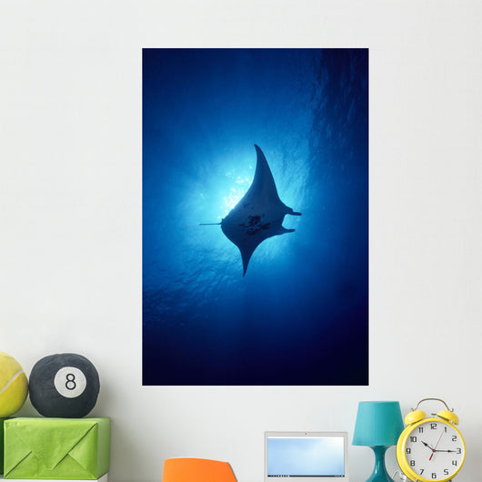 Hawaii, Common Manta Ray Silhouette A86B Wall Mural