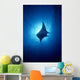 Hawaii, Common Manta Ray Silhouette A86B Wall Mural