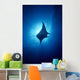Hawaii, Common Manta Ray Silhouette A86B Wall Mural