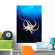 Hawaii, Day Octopus View Of Underside Near Surface, Midwater A87B Wall Mural