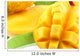 mango slices Wall Mural