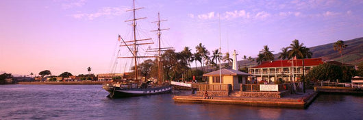 Panoramic A47A Wall Mural
