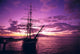 Silhouetted Pink And Yellow Sky A46A Wall Mural