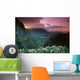 Ginger Foreground Twilight A43G Wall Mural