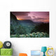Ginger Foreground Twilight A43G Wall Mural