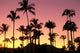 Silhouetted A41D Wall Mural