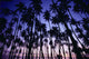 Upward View Blue Golden Sky A29C Wall Mural
