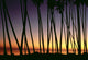 Ocean Background Orange Yellow A29E Wall Mural