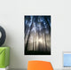 Trees In Forest A25H Wall Mural