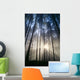 Trees In Forest A25H Wall Mural