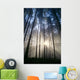 Trees In Forest A25H Wall Mural