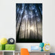 Trees In Forest A25H Wall Mural