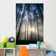 Trees In Forest A25H Wall Mural