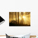 Trees In Forest A24E Wall Mural