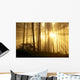 Trees In Forest A24E Wall Mural