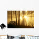 Trees In Forest A24E Wall Mural