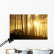Trees In Forest A24E Wall Mural