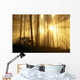 Trees In Forest A24E Wall Mural