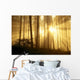 Trees In Forest A24E Wall Mural