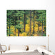 Green And Yellow Colors A24B Wall Mural