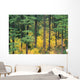 Green And Yellow Colors A24B Wall Mural