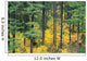 Green And Yellow Colors A24B Wall Mural